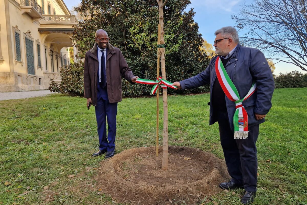 Piantumazione dell’Albero della Pace